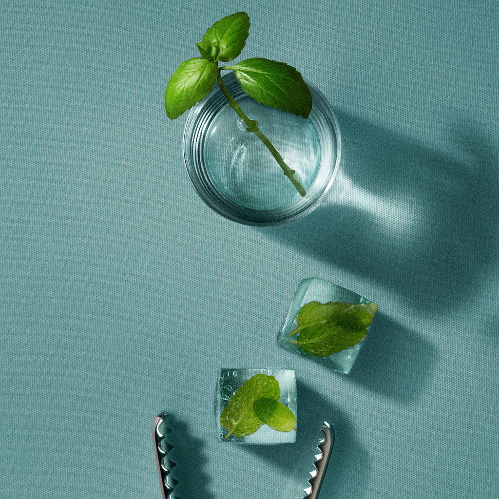 Body + Hair Powder - Basil Mint