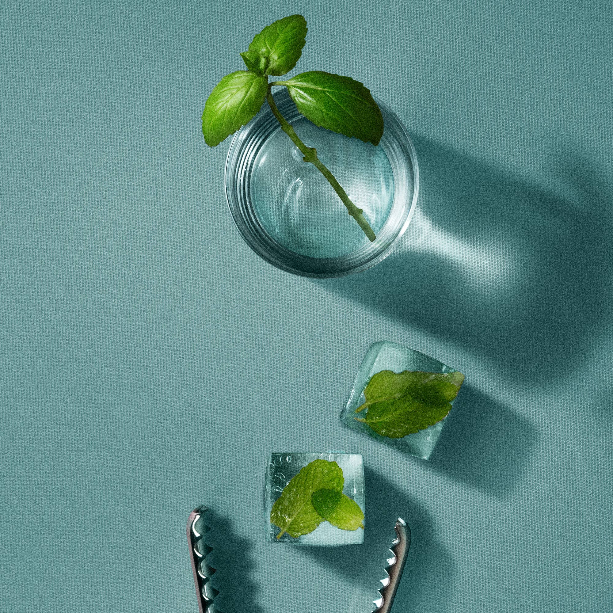 Body + Hair Powder - Basil Mint