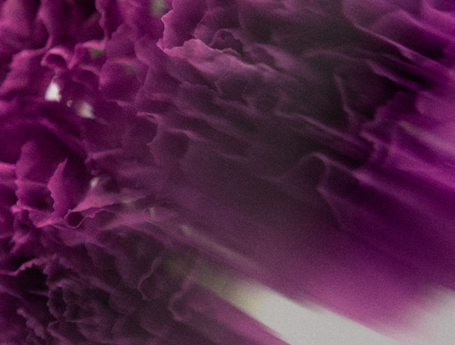 Magnesium Spray - Lavender